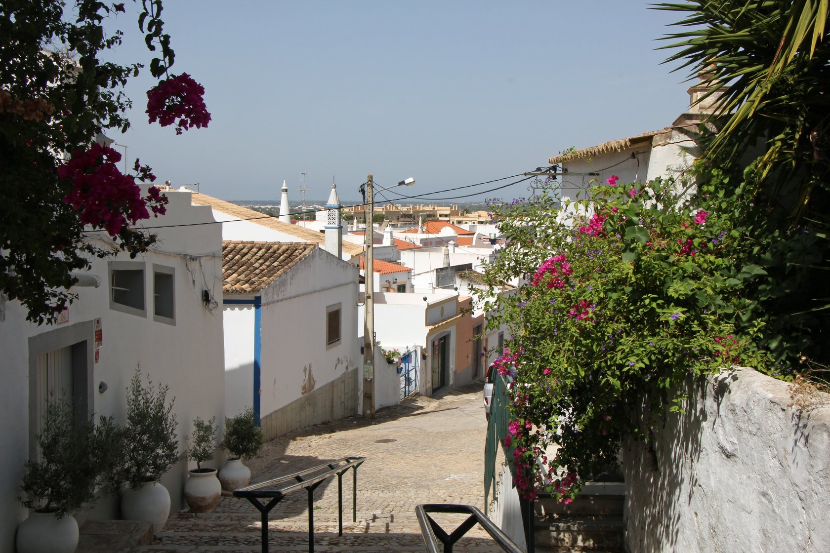Flowering lane with bougainvillea in the center of Estoi